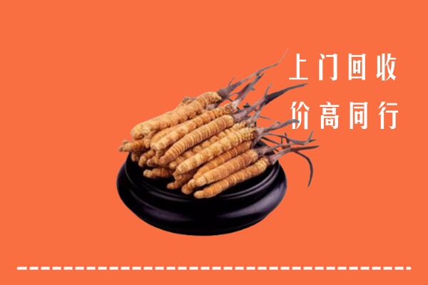 高价求购：南通市如东县回收散虫草