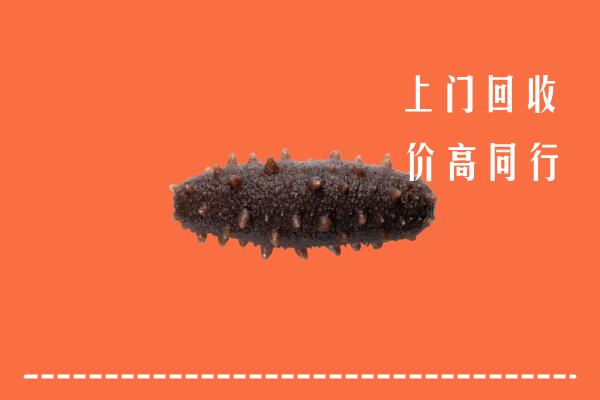 高价求购：南通市如东县回收海参
