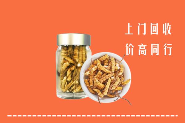 南通市如东县回收冬虫夏草