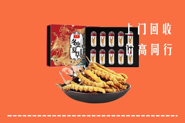 南通市如东县回收虫草